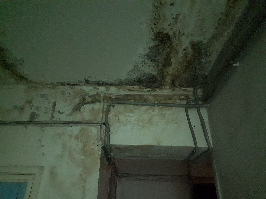 протекает потолок. потолок после затопления. протечка в квартире что делать. течет крыша в квартире. течет крыша в мкд.